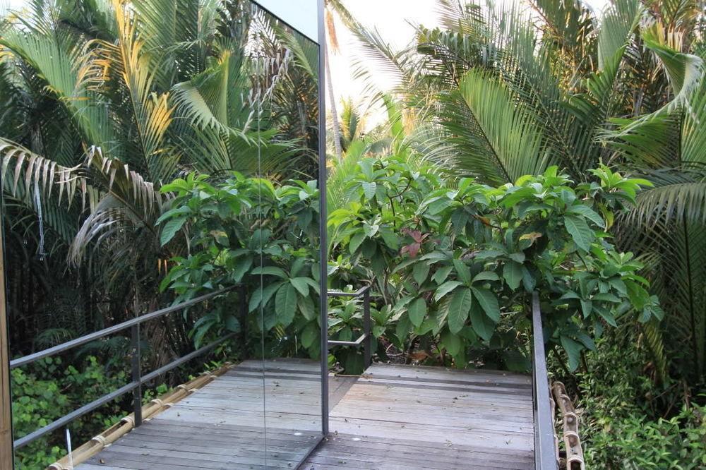 Hotel Bangkok Tree House Bang Kachao Zewnętrze zdjęcie